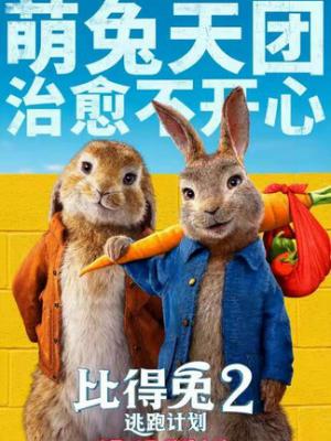 冒险动画